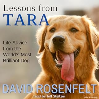 Lessons from Tara Audiolibro Por David Rosenfelt arte de portada