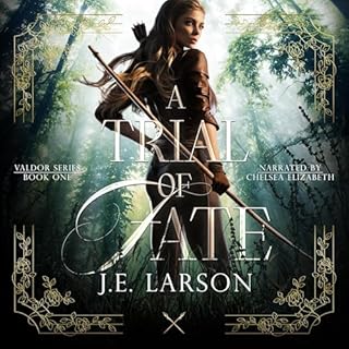 A Trial of Fate Audiolibro Por J.E. Larson arte de portada