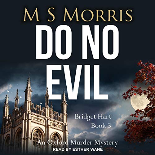 Do No Evil Audiobook By M S Morris cover art
