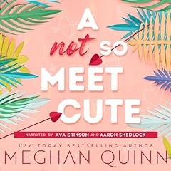 A Not So Meet Cute Audiolibro Por Meghan Quinn arte de portada