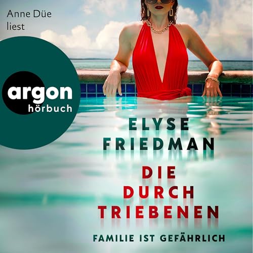 Die Durchtriebenen Audiolibro Por Elyse Friedman, Peter Hammans - &Uuml;bersetzer arte de portada