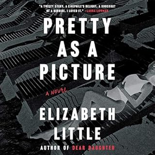 Pretty as a Picture Audiolibro Por Elizabeth Little arte de portada