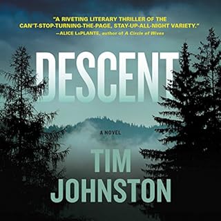 Descent Audiolibro Por Tim Johnston arte de portada