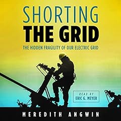Shorting the Grid Audiolibro Por Meredith Angwin arte de portada