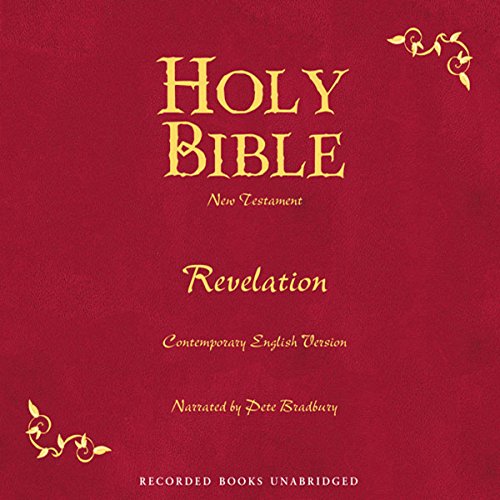 Holy Bible, Volume 30 Audiobook By American Bible Society cover art