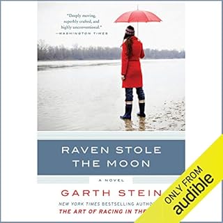 Raven Stole the Moon Audiolibro Por Garth Stein arte de portada