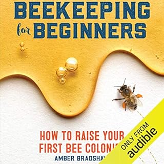 Beekeeping for Beginners Audiolibro Por Amber Bradshaw arte de portada