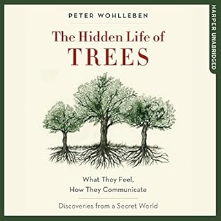 The Hidden Life of Trees Audiobook By Peter Wohlleben cover art