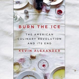Burn the Ice Audiobook By Kevin Alexander cover art