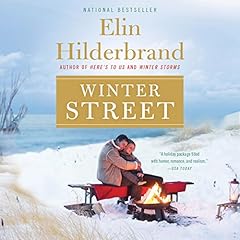 Winter Street Audiolibro Por Elin Hilderbrand arte de portada