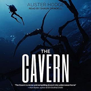 The Cavern Audiobook By Alister Hodge cover art