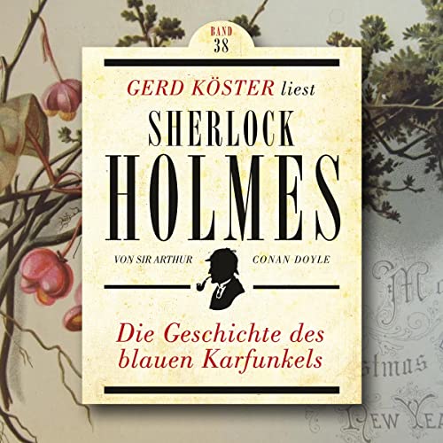 Couverture de Die Geschichte des blauen Karfunkels