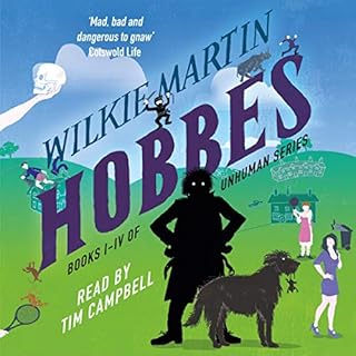 Hobbes Audiobook By Wilkie Martin cover art