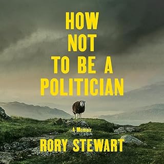 How Not to Be a Politician Audiolibro Por Rory Stewart arte de portada