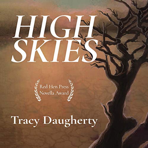 Page de couverture de High Skies