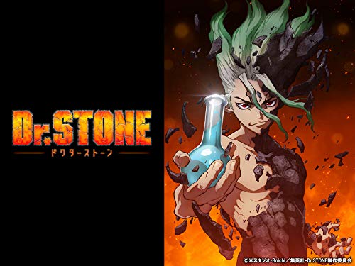 Ｄｒ．ＳＴＯＮＥ