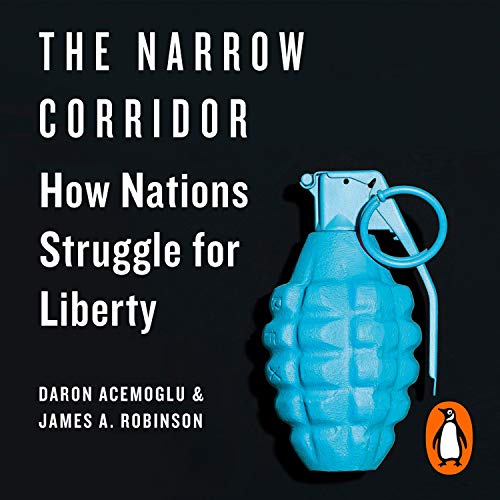 The Narrow Corridor Audiolibro Por Daron Acemoglu, James A. Robinson arte de portada