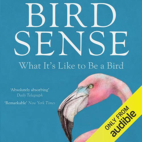 Bird Sense Audiobook By Tim Birkhead cover art