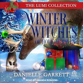 Winter Witches of Holiday Haven Audiobook By Danielle Garrett cover art