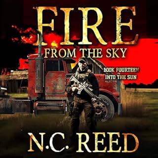 Into the Sun Audiobook By N.C. Reed cover art