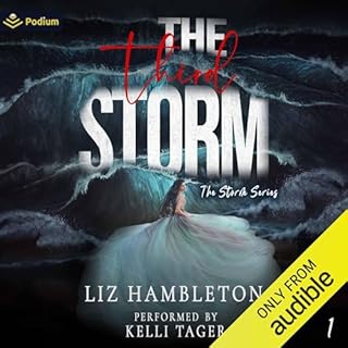 The Third Storm Audiobook By Liz Hambleton cover art