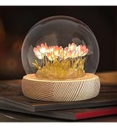 fusehome DIY Pink Tulip Night Light 20 Flowers, DIY Cute Flower Night Light Handmade Gifts Simula...