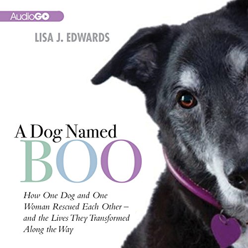 A Dog Named Boo Audiobook By Lisa Edwards cover art