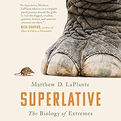 Superlative Audiolibro Por Matthew D. LaPlante arte de portada