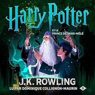 Page de couverture de Harry Potter et le Prince de Sang-M&ecirc;l&eacute;