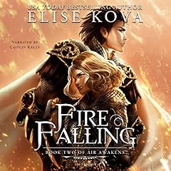 Fire Falling cover art