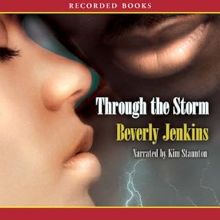 Through the Storm Audiolibro Por Beverly Jenkins arte de portada