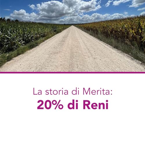 La storia di Merita: 20% di reni Podcast By Oxys Publishing cover art