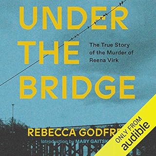 Under the Bridge Audiolibro Por Rebecca Godfrey arte de portada