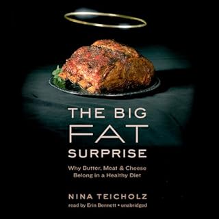 The Big Fat Surprise cover art