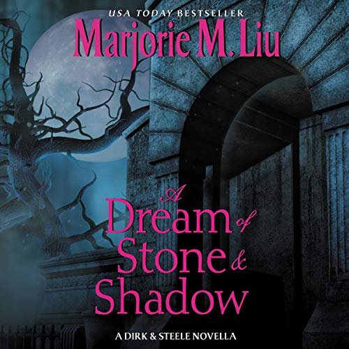 A Dream of Stone & Shadow Audiolibro Por Marjorie Liu arte de portada