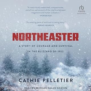 Northeaster Audiolibro Por Cathie Pelletier arte de portada