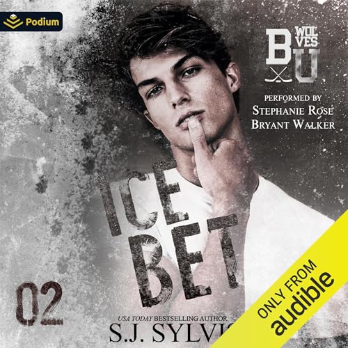 Ice Bet Audiolibro Por S.J. Sylvis arte de portada