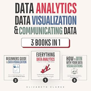 Data Analytics, Data Visualization & Communicating Data: 3 books in 1 Audiolibro Por Elizabeth Clarke arte de portada