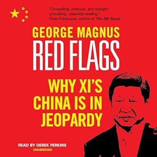 Red Flags Audiolibro Por George Magnus arte de portada