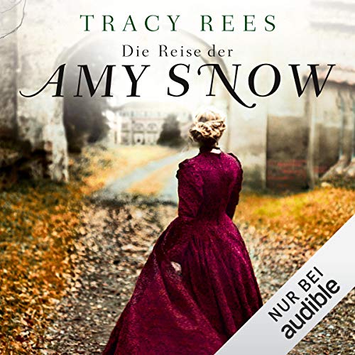 Die Reise der Amy Snow Audiobook By Tracy Rees cover art