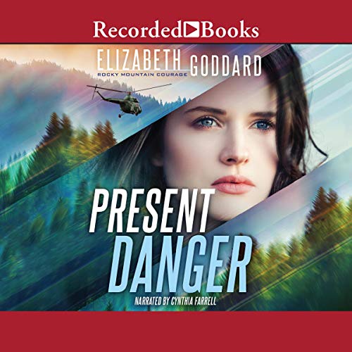 Present Danger Audiolibro Por Elizabeth Goddard arte de portada