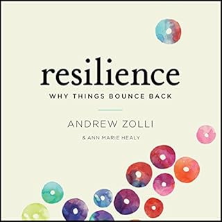 Resilience Audiobook By Andrew Zolli, Ann Marie Healy cover art