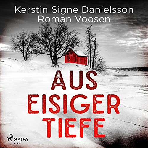 Aus eisiger Tiefe Audiobook By Kerstin Signe Danielsson, Roman Voosen cover art