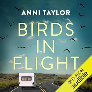 Birds in Flight Audiolibro Por Anni Taylor arte de portada