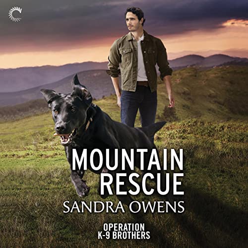 Mountain Rescue Audiobook By Sandra Owens cover art