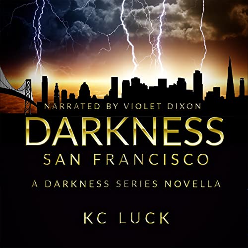 Darkness San Francisco Audiolibro Por KC Luck arte de portada