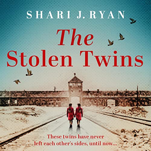 The Stolen Twins Audiolibro Por Shari J. Ryan arte de portada