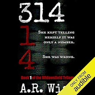 314 Audiolibro Por A. R. Wise arte de portada