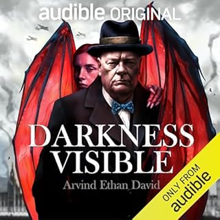 Darkness Visible Audiolibro Por Arvind Ethan David arte de portada