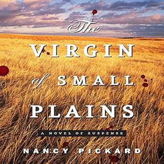 The Virgin of Small Plains Audiolibro Por Nancy Pickard arte de portada